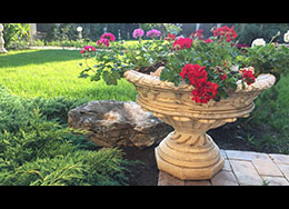 Prezentare modele de jardiniere