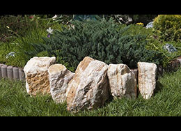 Rocarie Stripe pentru amenajare gradina