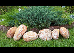 Pebble Sandstone Rainbow pentru amenajare gradina