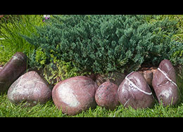 Pebble Bordo pentru amenajare gradina